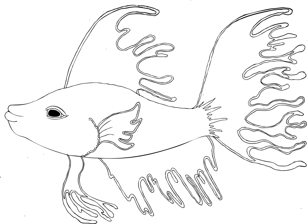 Line Drawings Of Fish