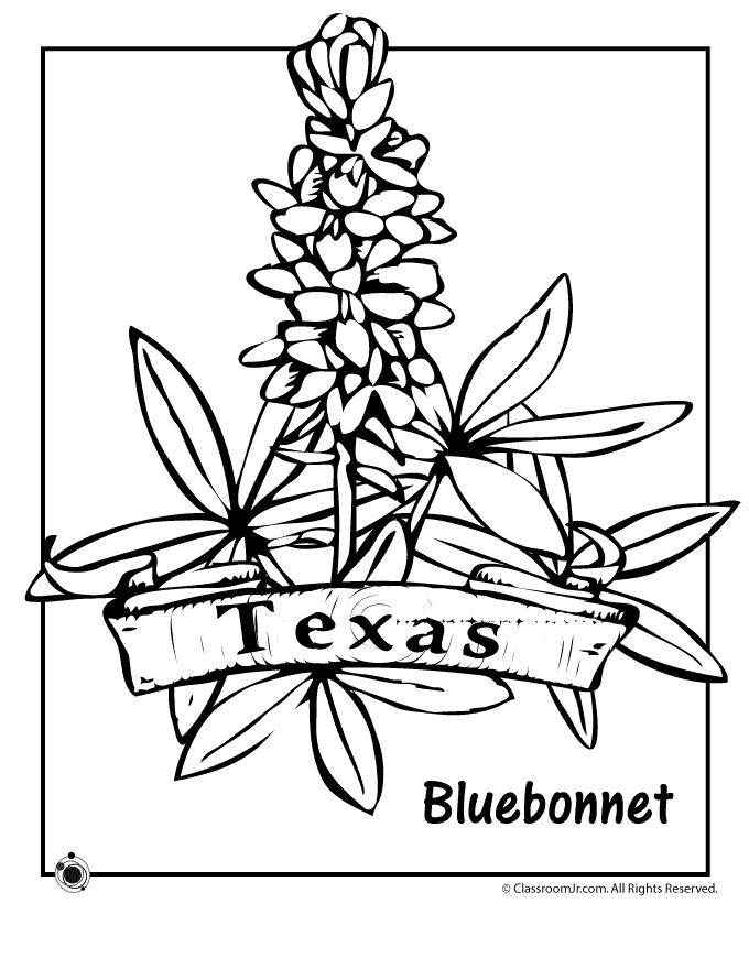Texas State Flower Coloring Page 
