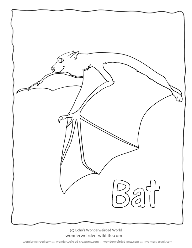 Bat Coloring Pages Fruit Bat Pictures, Free to Print Bat Family