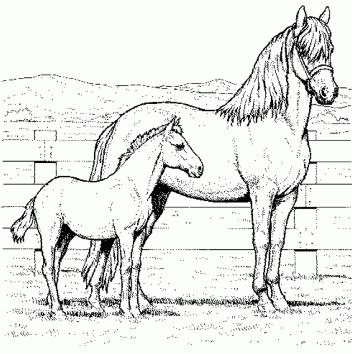 Free Printable Realistic Horse Coloring Pages