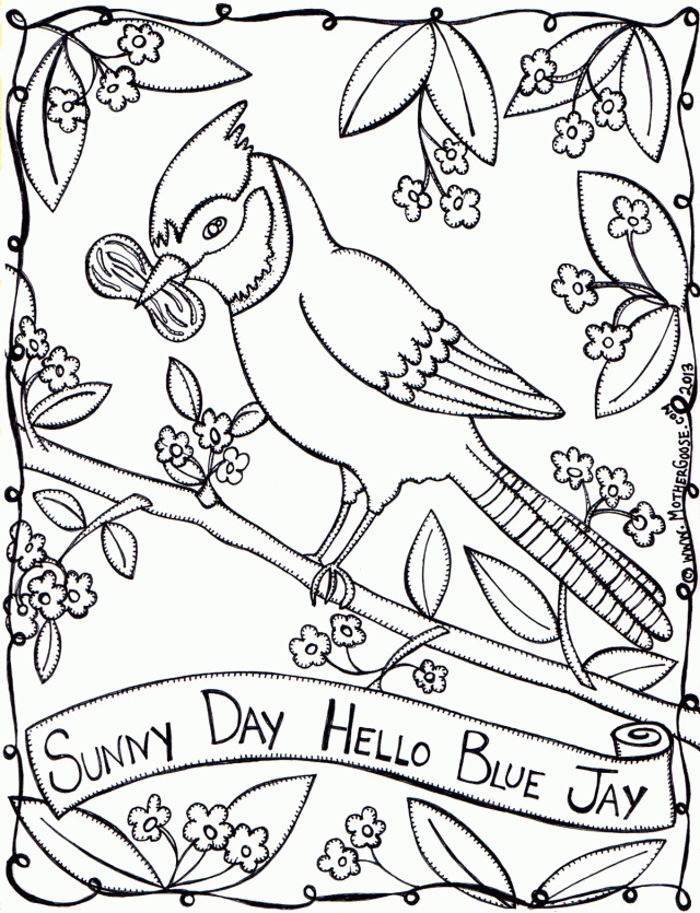 Blue Jay Bird Coloring Page