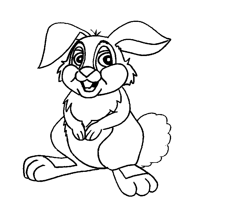 Petit Gouté | wild rabbit | colour pencil drawing