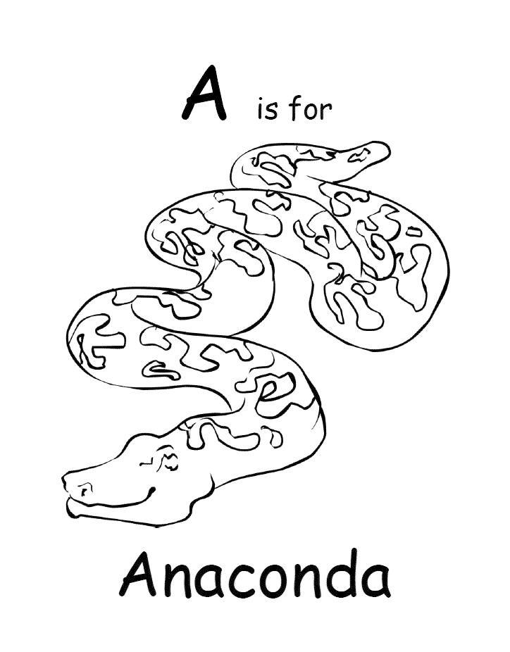 PSM V04 D278 Anaconda  A black and white drawing of a snake  PICRYL   Public Domain Media Search Engine Public Domain Search