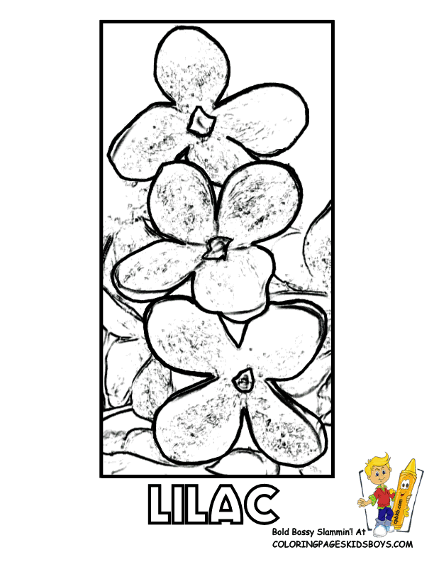 Tropical Bird Coloring Pages