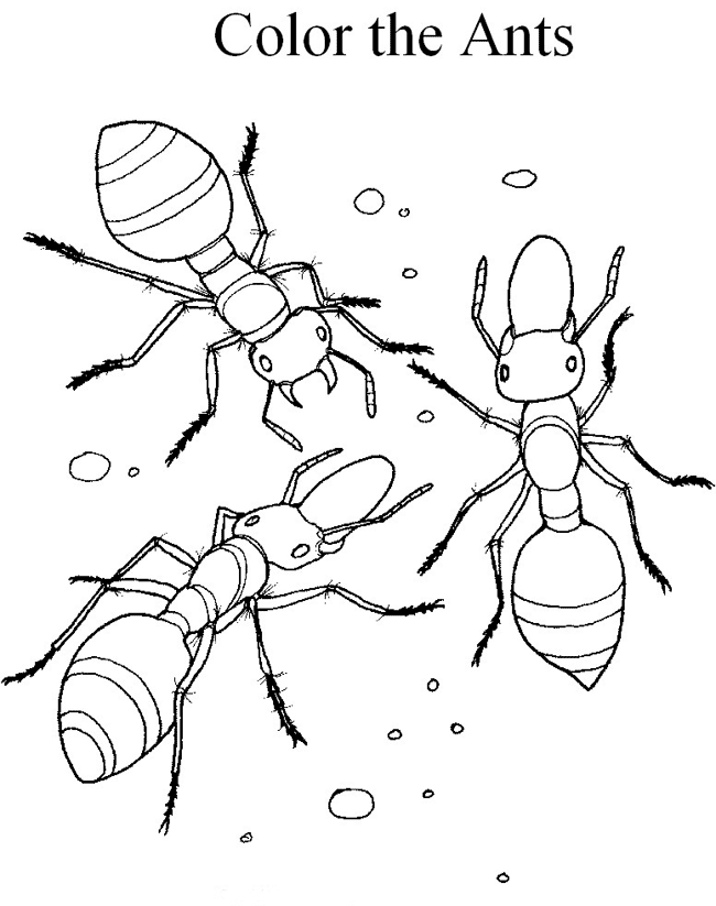 The Ant And The Grasshopper Coloring Pages