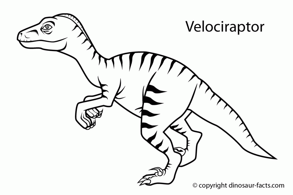 Dinosaur Fossil Clipart Black And White Free Coloring Page