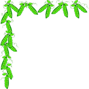 Green pea pods forming a decorative corner border on white background.