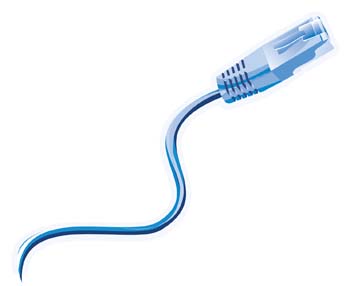 Blue Ethernet cable with RJ45 connector, curved against white background