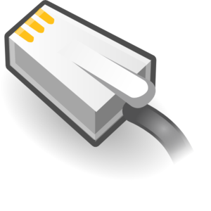 White Ethernet cable connector with gold pins and gray strain relief boot.