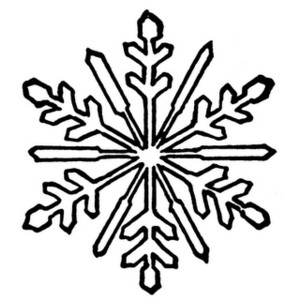 Symmetrical black-and-white line drawing of a six-branched snowflake with intricate dendritic patterns.