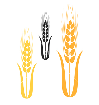 Barley Cliparts - Free Download Barley Clip Art Images