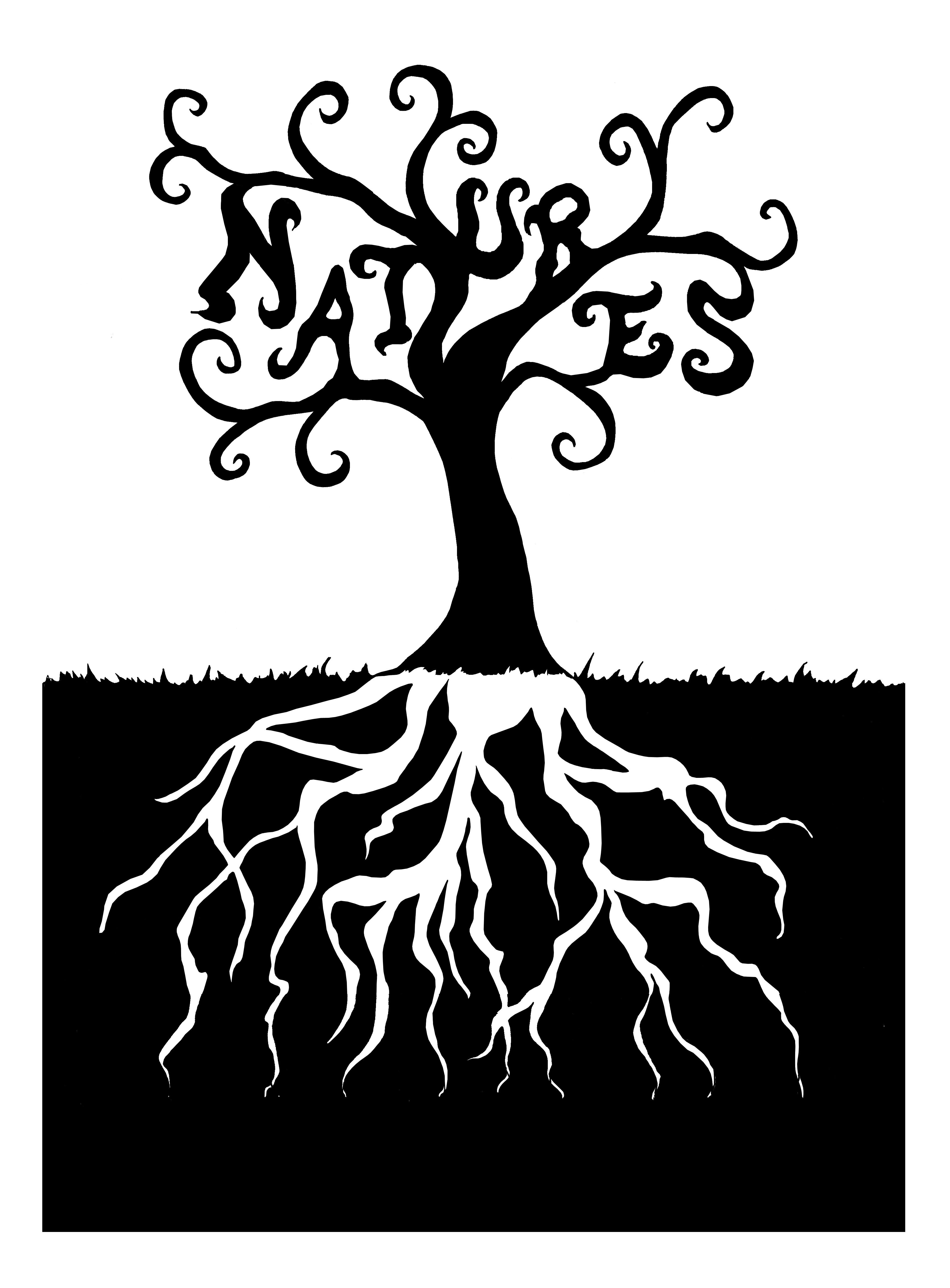 Magellin . Blog: Tree roots sketch