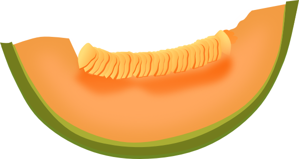 Cantaloupe Slice Clip Art 