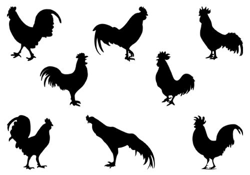 Collection of eight black rooster silhouettes in various dynamic poses against white background.
