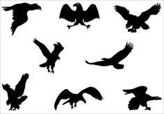 Nine black eagle silhouettes in various flight poses against a white background.
