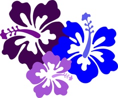 Three stylized hibiscus flowers in deep purple, royal blue, and lavender against a white background.