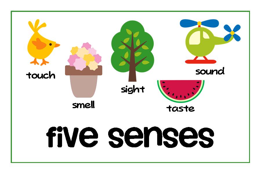 five senses - Clip Art Library