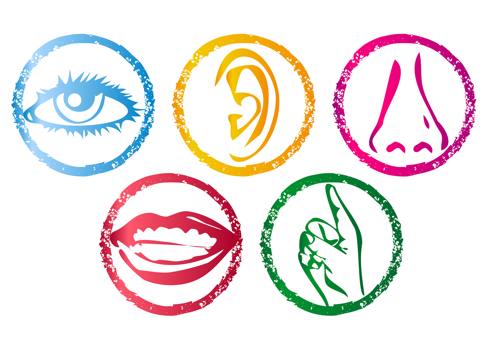 free-5-senses-png-download-free-5-senses-png-png-images-free-cliparts