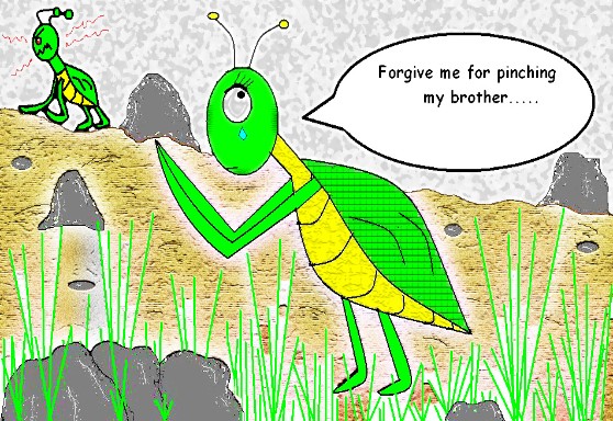 Praying Mantis Apology Cartoon - Nature Humor & Insect Illustration