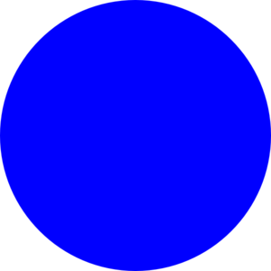 A solid vibrant blue circle centered on a white background.