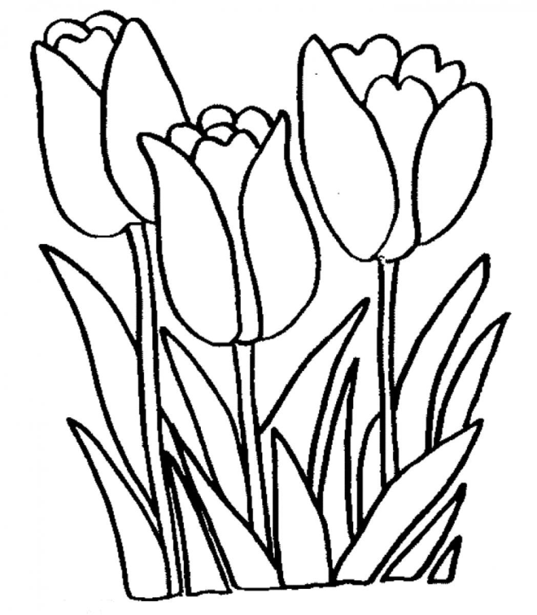 Black-and-white line drawing of three tulips with stems and leaves, ideal for coloring pages.