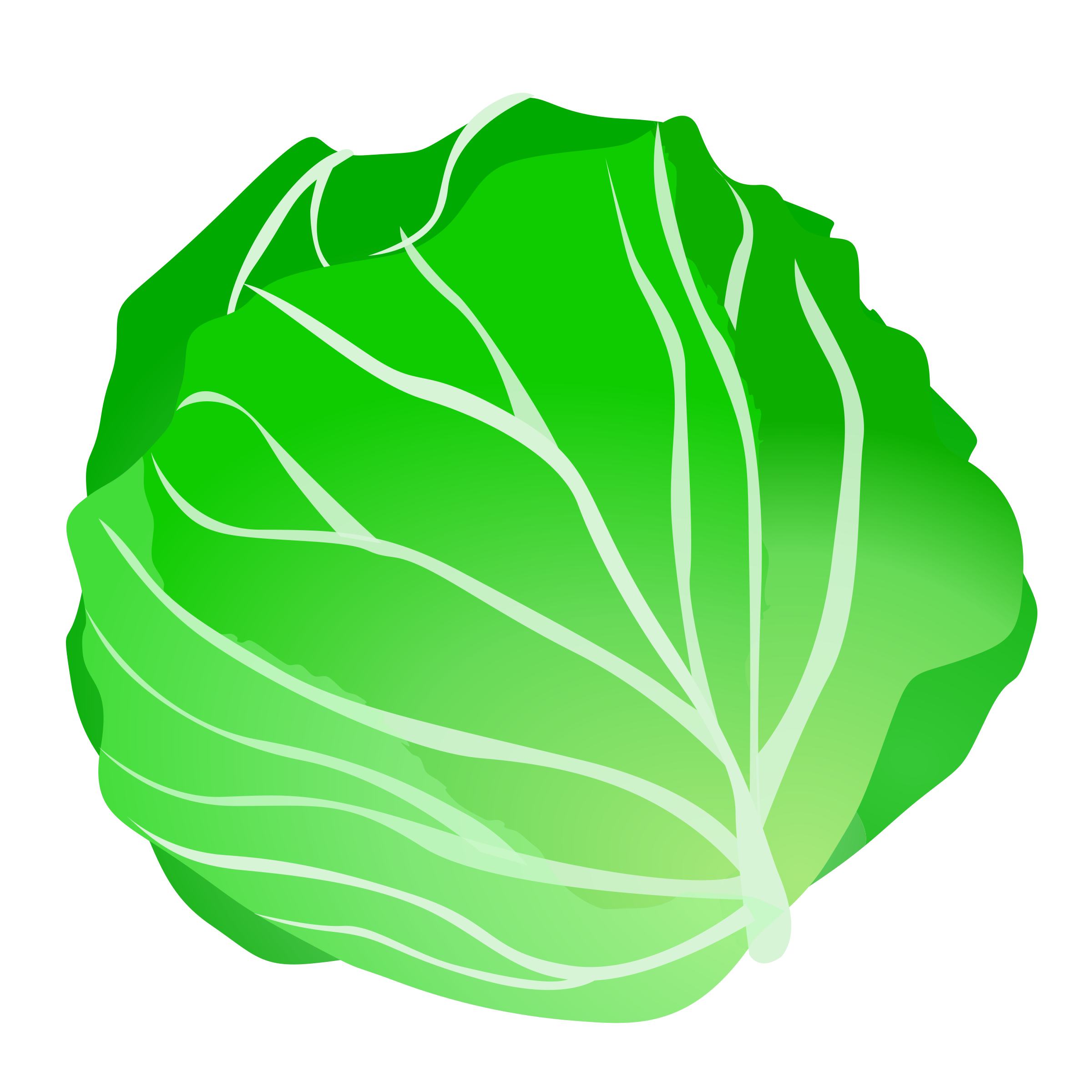 Cabbage 20clipart 