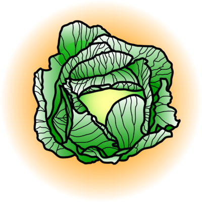 cabbage clipart - Clip Art Library