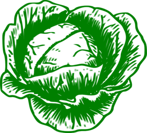 Stylized green cabbage illustration with textured, hand-drawn appearance on black background.