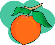 Vibrant orange fruit with green leaves and stem, illustrated against a soft teal background.