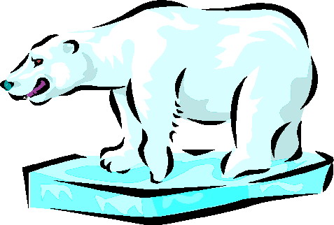 Polar Bear Illustration - Arctic Wildlife Art for Education & Design