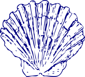 Seashell cliparts 
