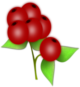 Bright red cranberries with green leaves on a stem, illustrated in vibrant detail.