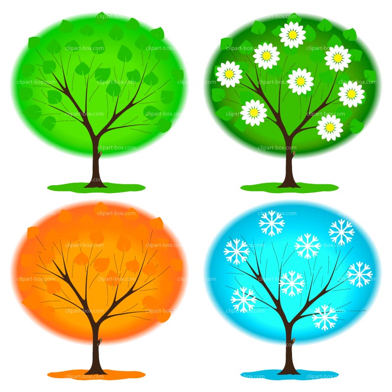 4 seasons tree clipart