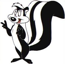 Skunk Image 