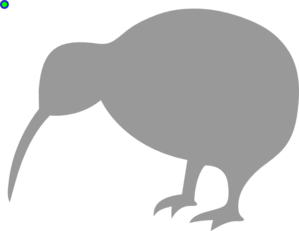 Grey Kiwi Bird Clip Art 
