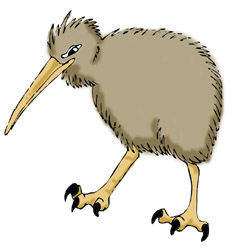 Kiwi Bird 