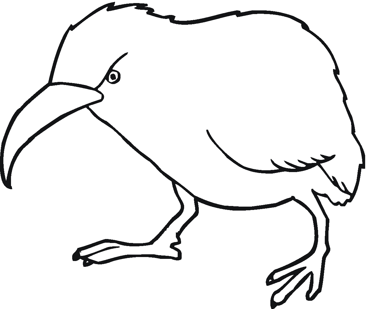 Kiwi Bird Clipart 