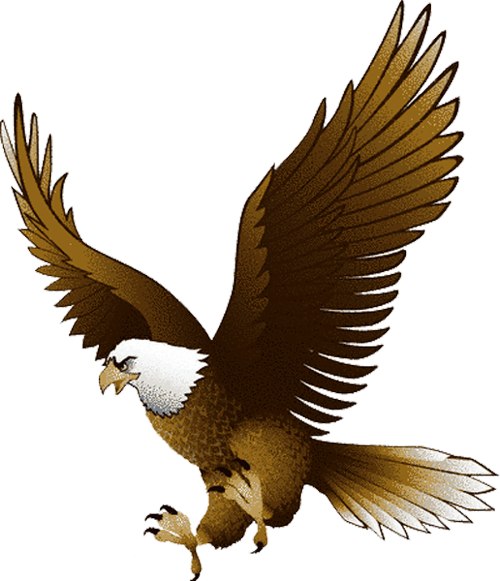 Eagle Graphic Clipart