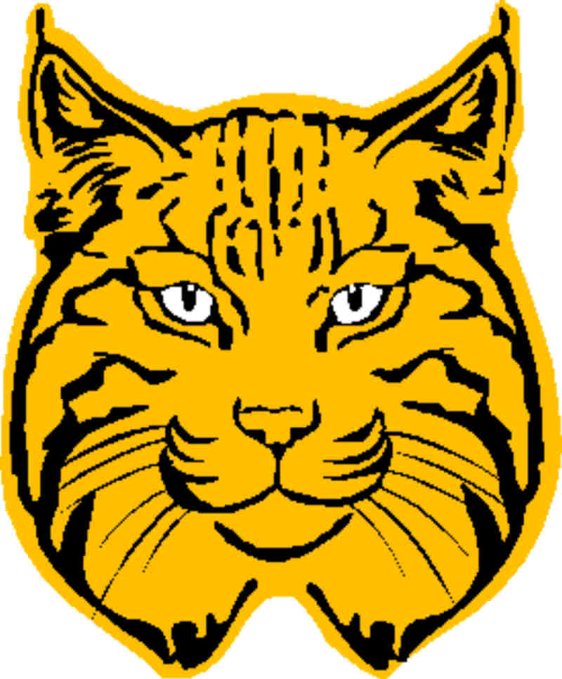bobcat clipart logo