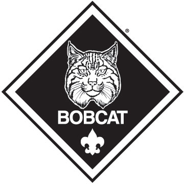 bobcat scout clipart