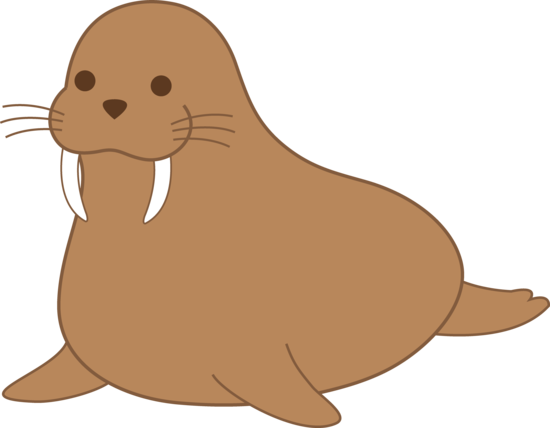 Best Walrus Clipart 