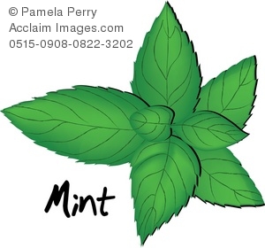 Peppermint cliparts 