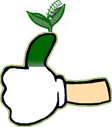 Hand giving thumbs-up with a green plant sprouting from the thumb, symbolizing eco-friendly approval or sustainability.