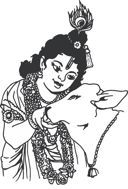Krishna tenderly feeding a calf, adorned with peacock feather crown and floral garlands in traditional line art style.