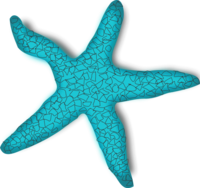 Turquoise Starfish Illustration - Marine Life Clipart & SVG Graphic