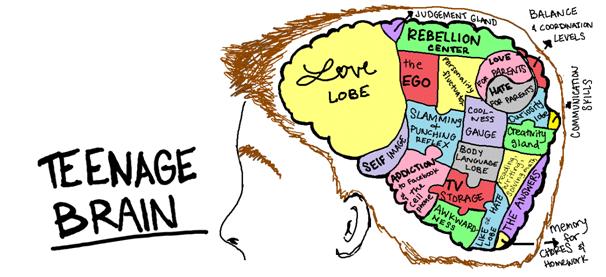 Brain Clipart 