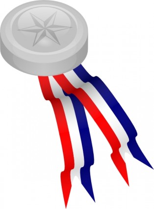 Silver award medal with a star emblem and red, white, and blue ribbons.