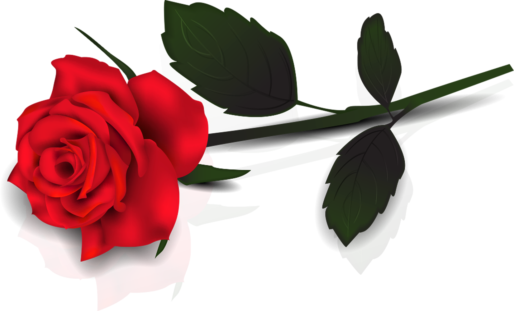 Lovely Transparent Red Rose Clipart