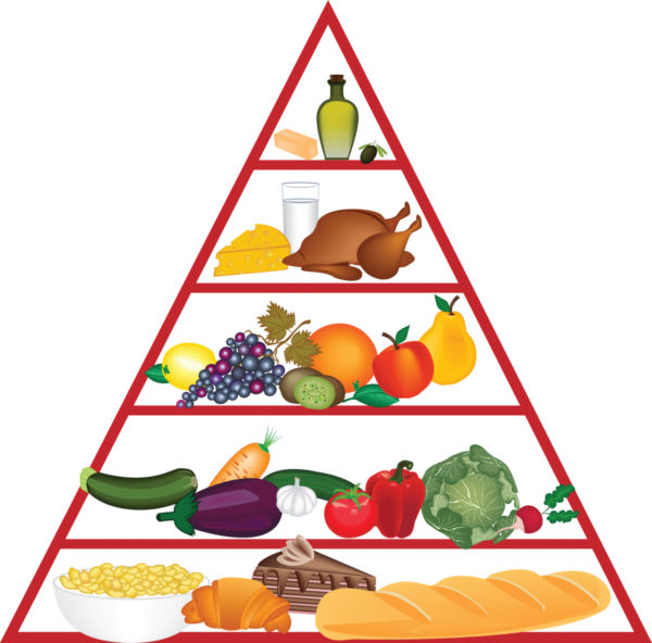 Illustration of a food pyramid showing five tiers: grains, vegetables & fruits, proteins & dairy, and fats/oils at the top.
