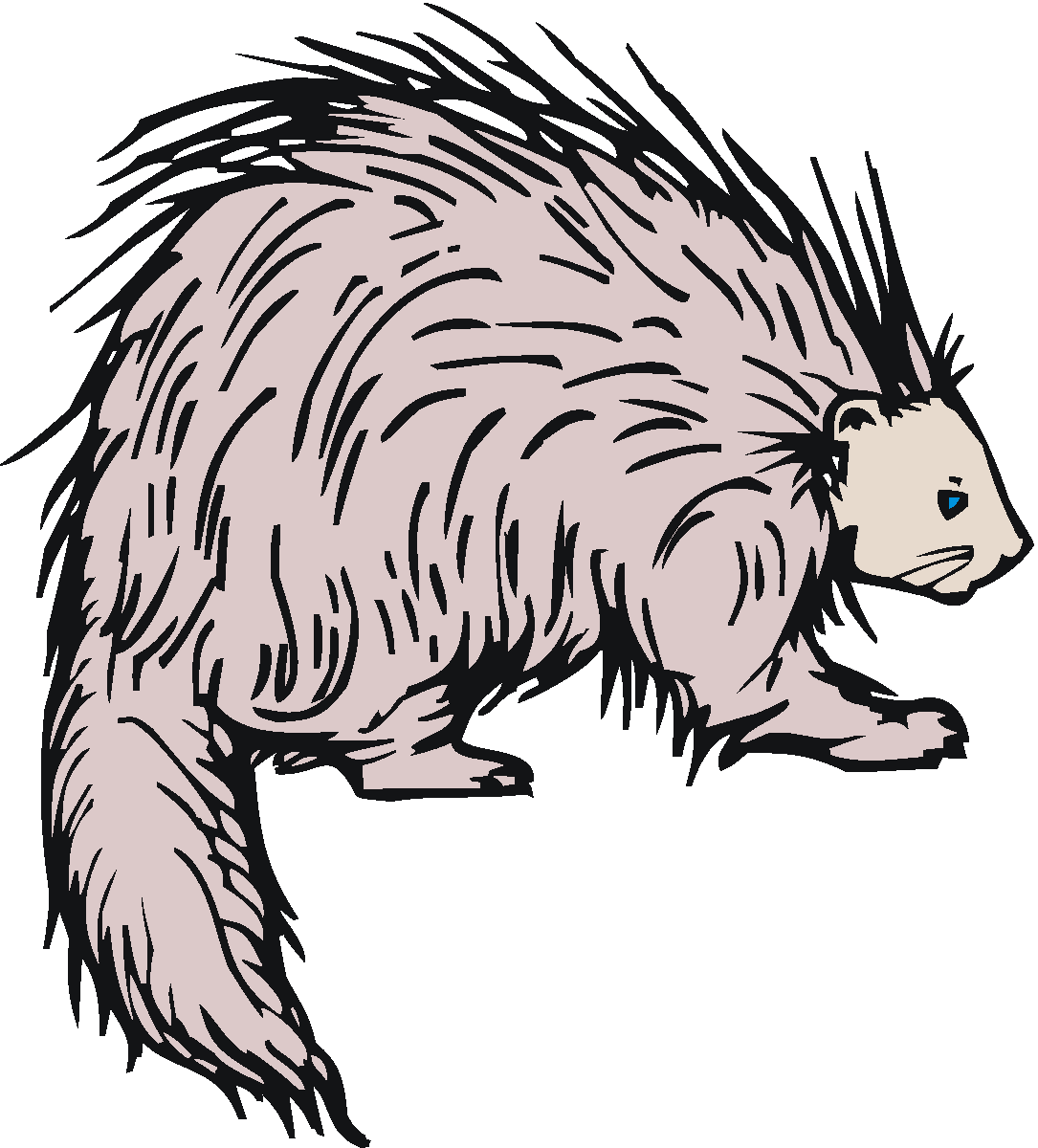 Free Porcupine Cliparts Download Free Porcupine Cliparts Png Images Free Cliparts On Clipart 